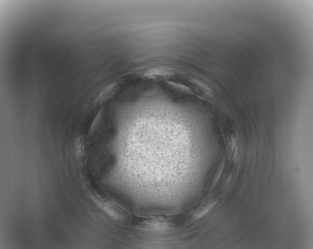 X0000066960284200604142123