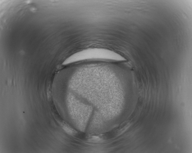 X0000066960285200604142123