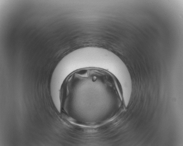 X0000066960287200604142123