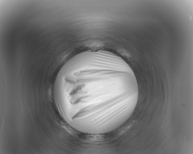 X0000066960288200604142123