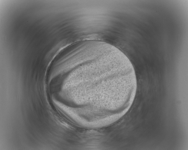 X0000066960290200604142122