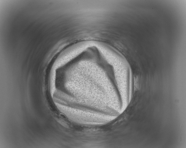 X0000066960291200604142122