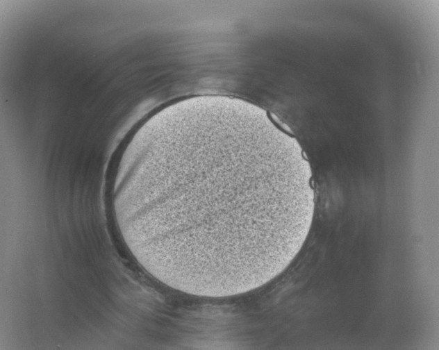 X0000066960292200604142122