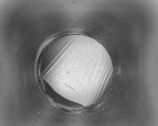 X0000066960294200604142122