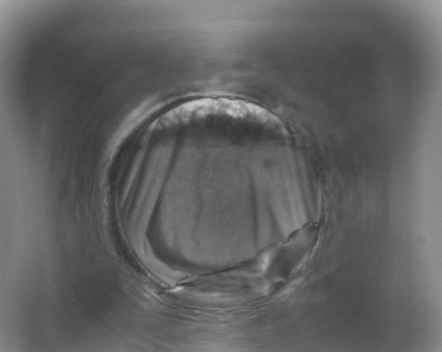 X0000066960295200604142122