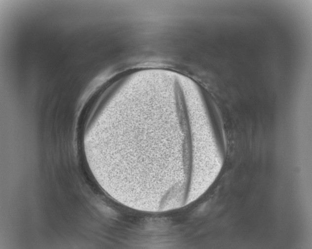 X0000066960296200604142122