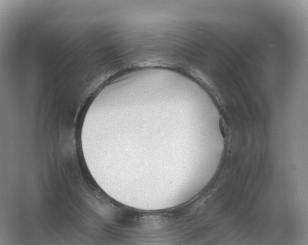 X0000066960298200604142122