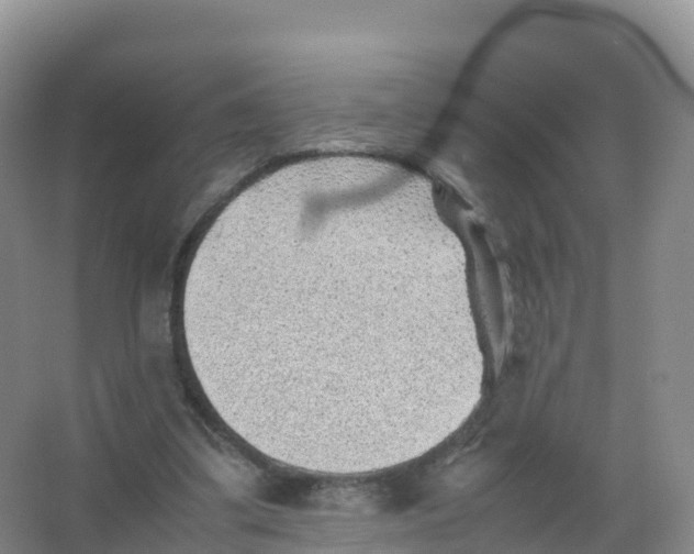 X0000066960299200604142122