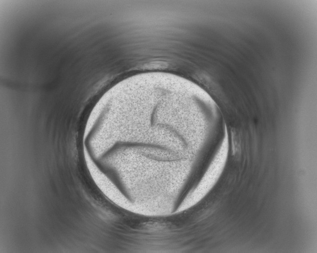 X0000066960300200604142122