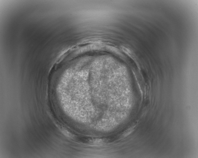 X0000066960301200604142122