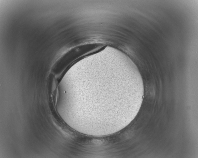 X0000066960302200604142122