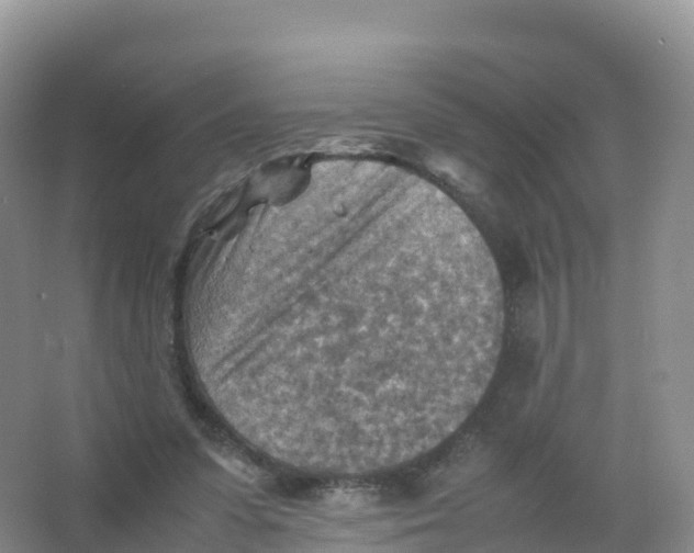 X0000066960303200604142122