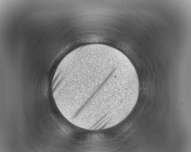 X0000066960304200604142122