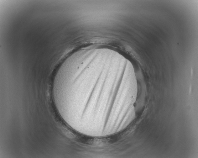 X0000066960305200604142122