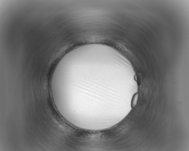 X0000066960306200604142122