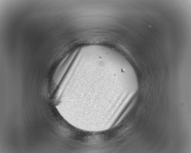 X0000066960307200604142122