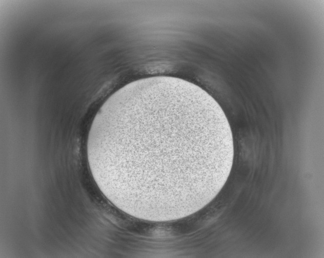 X0000066960308200604142122