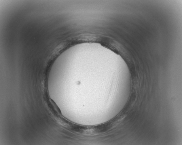 X0000066960309200604142122