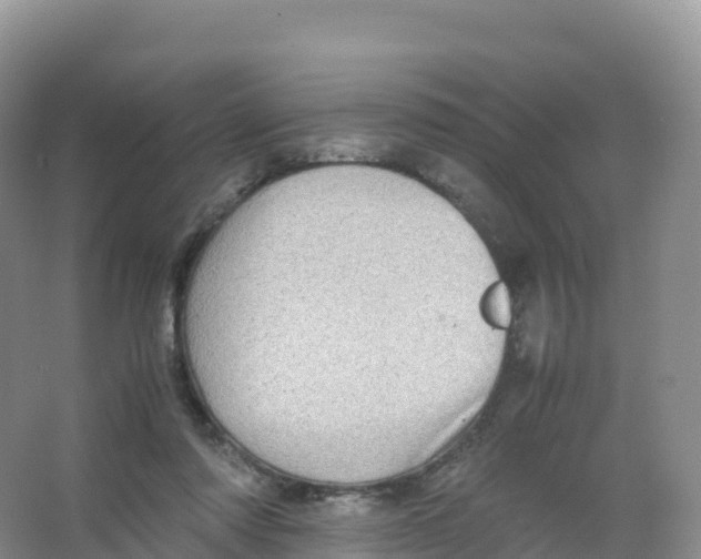 X0000066960310200604142122