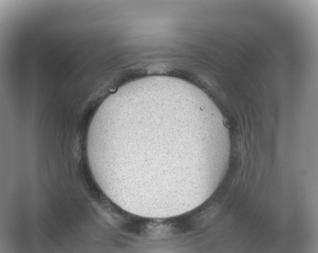 X0000066960311200604142122