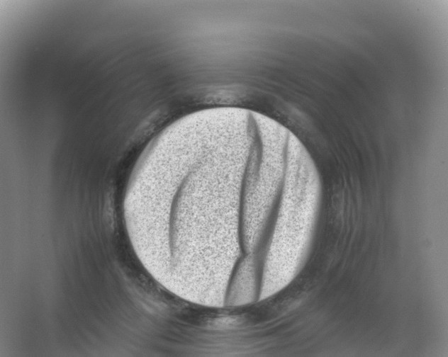 X0000066960312200604142122