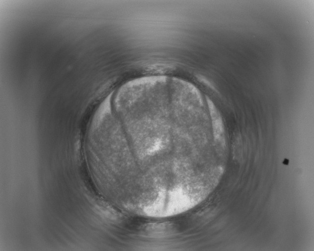 X0000066960314200604142122