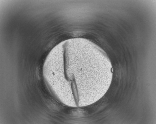 X0000066960316200604142122