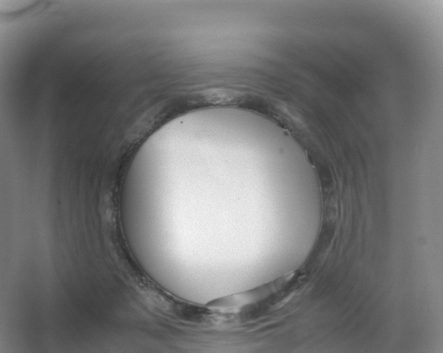 X0000066960317200604142122