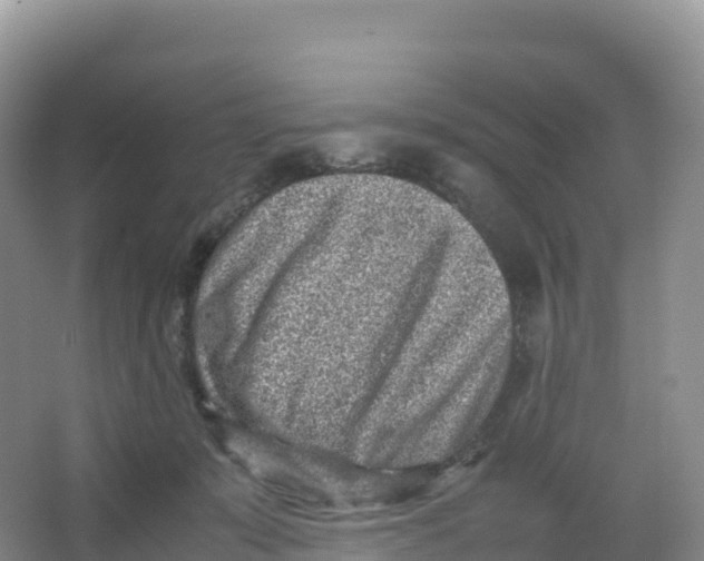 X0000066960319200604142122