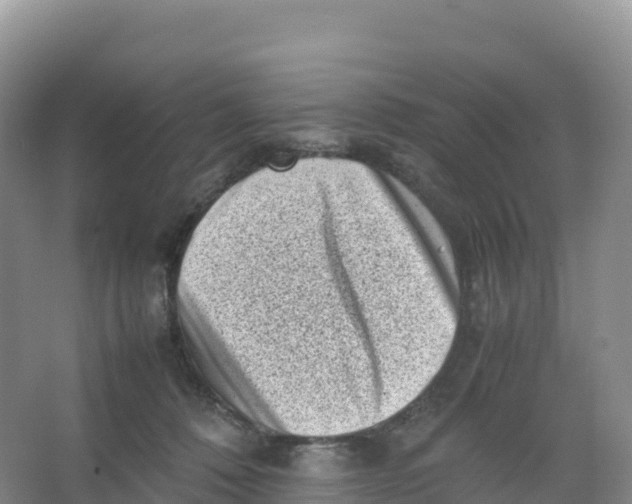 X0000066960320200604142122