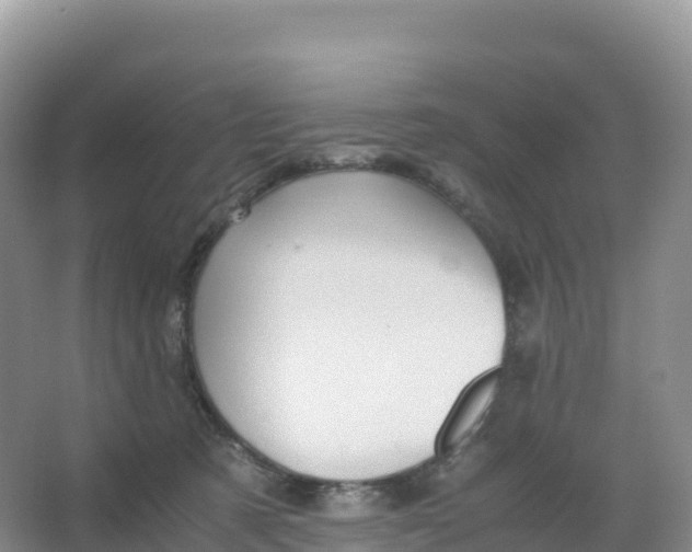 X0000066960321200604142122