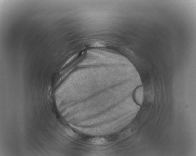 X0000066960322200604142122