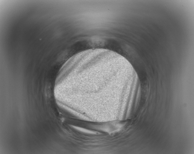 X0000066960323200604142122