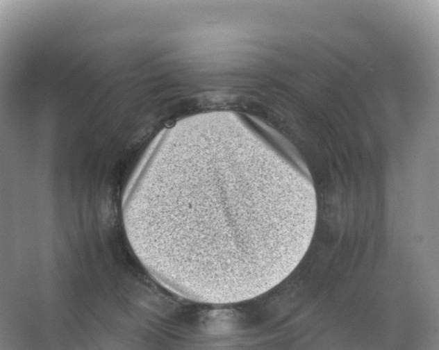 X0000066960324200604142122