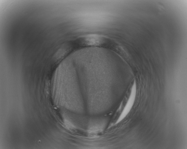 X0000066960325200604142122