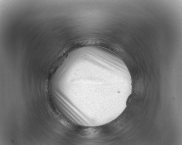 X0000066960326200604142121