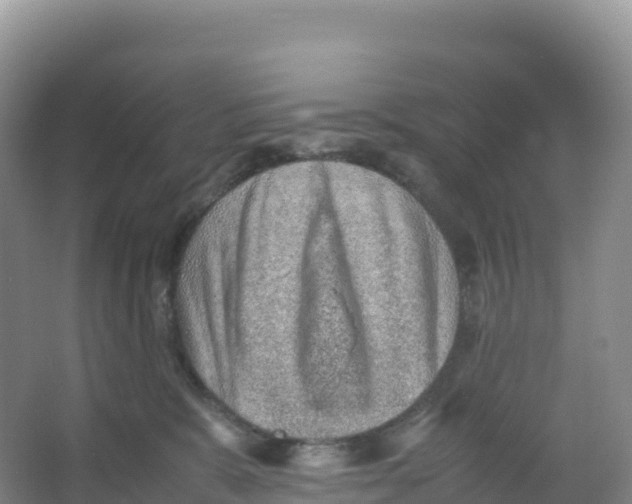 X0000066960327200604142121