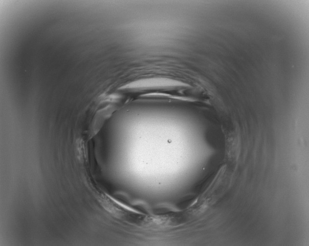 X0000066960329200604142121