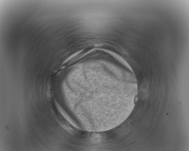 X0000066960330200604142121