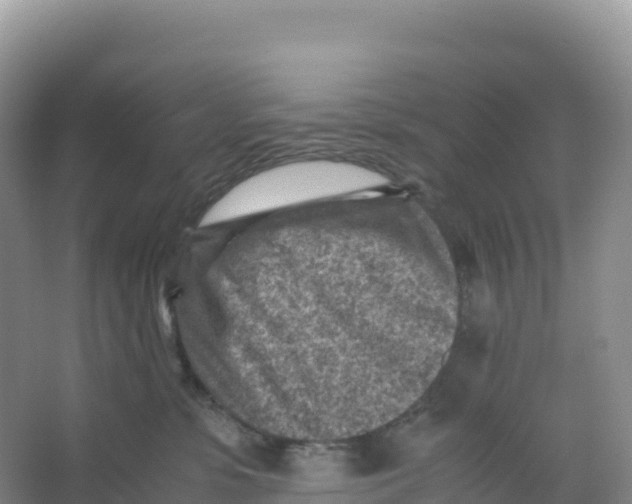 X0000066960331200604142121