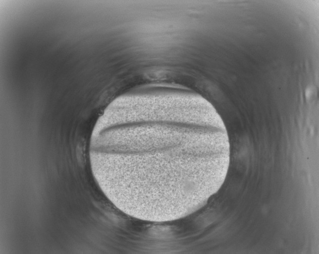 X0000066960332200604142121