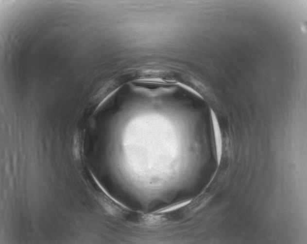 X0000066960333200604142121