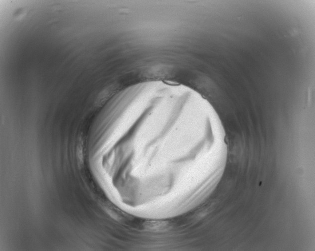 X0000066960334200604142121