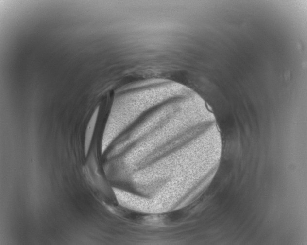 X0000066960335200604142121