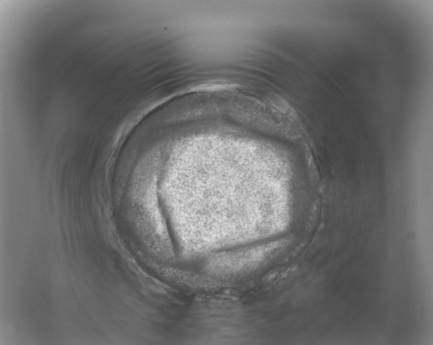 X0000066960337200604142121