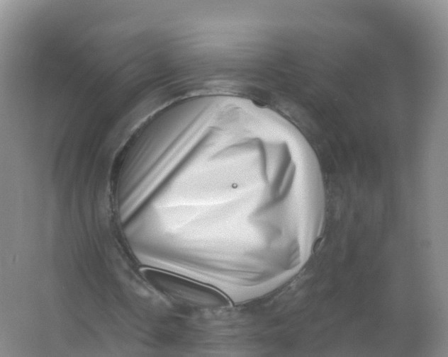 X0000066960338200604142121