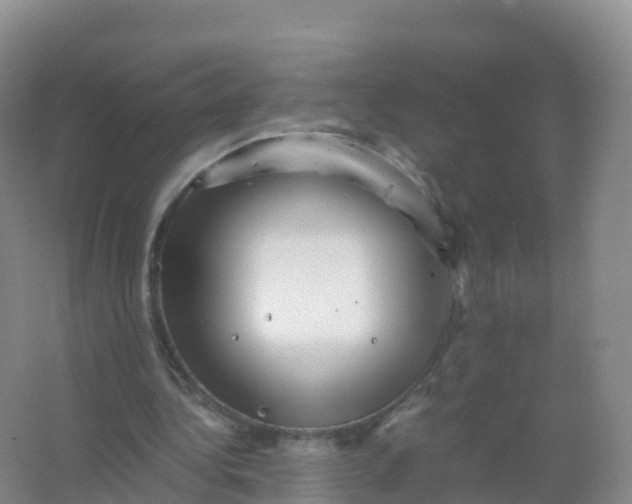 X0000066960340200604142121