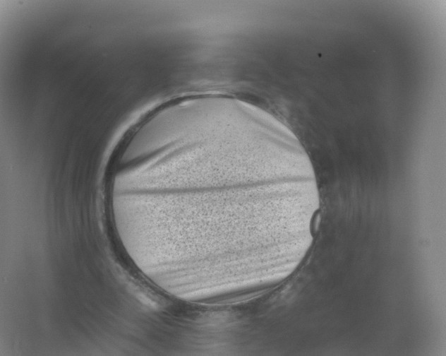 X0000066960342200604142121