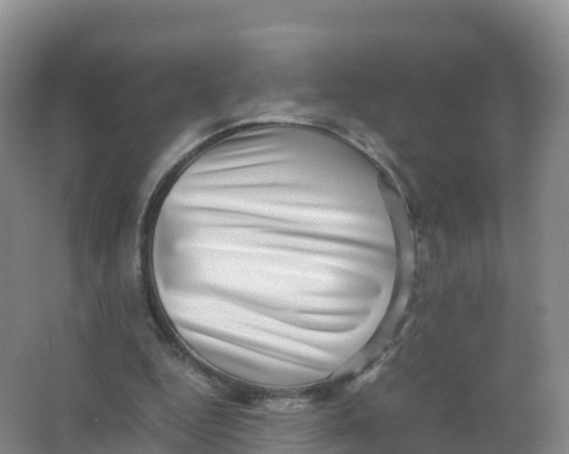 X0000066960344200604142121