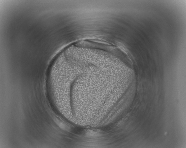 X0000066960346200604142121